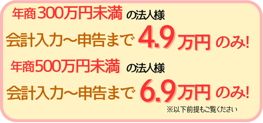 会計入力から申告まで、年商300万/500万未満の法人様限定の決算特別料金
