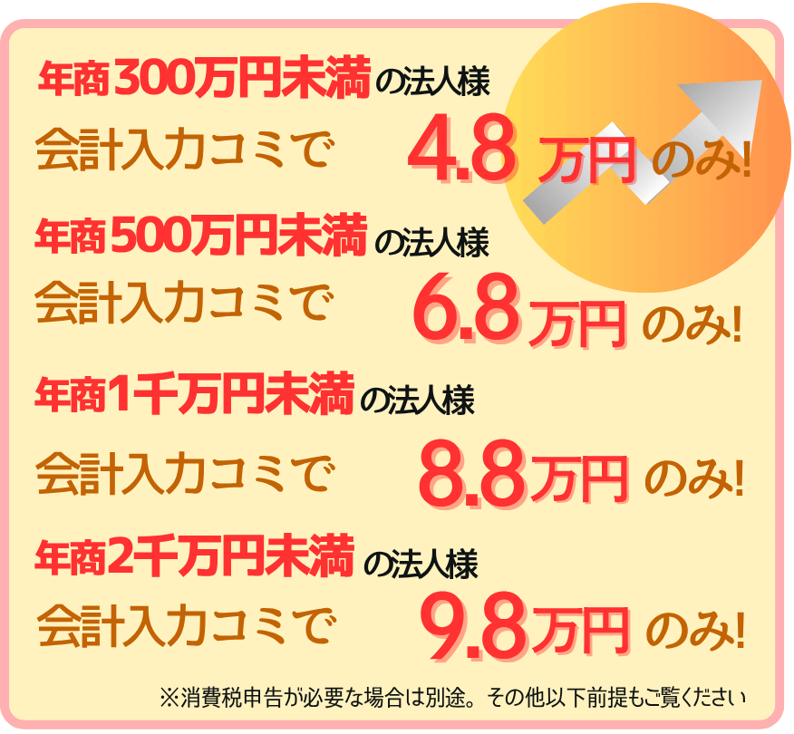会計入力から申告まで、年商300万/500万/1000万/2000万未満の法人様限定の決算特別料金